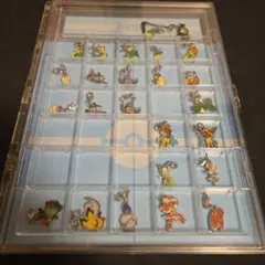 ポケットモンスター メタルチャーム&ケース ORASホウエン風セット
