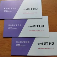 株式会社アンドエスティHD andST HD 株主様ご優待券 4,500円分のサムネイル