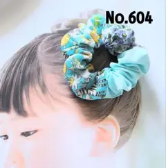 604 シュシュ