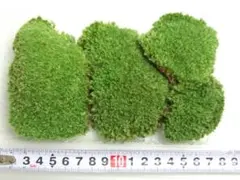 Sakura様 リクエスト 5点 まとめ商品