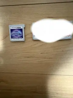 3DS ソフト ムーン closedさん専用