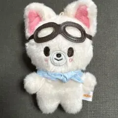 straykids スキズ アイエン フォクシニー 10cm ぬい I.N - メルカリ