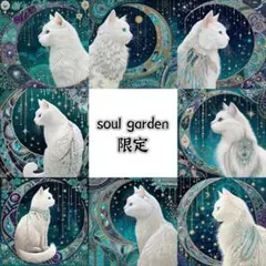 soul garden 251217a
