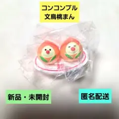 2026年最新】コンコンブル 文鳥の人気アイテム - メルカリ