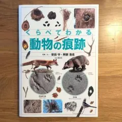 くらべてわかる動物の痕跡