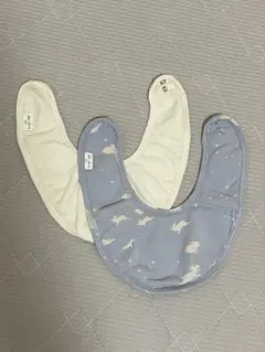 コンゲススロイド　スタイセット