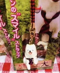 Item thumbnail for item bd4db946-71c5-46b6-84a0-3c8882e0cc76