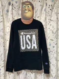 USA購入）Champion Tシャツ　USAロゴ