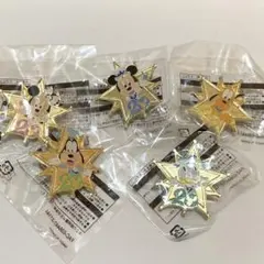 ディズニーシー20周年　アブーズバザール景品　ピンバッジ