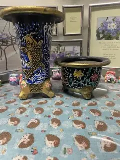 2026年最新】万年青 鉢の人気アイテム - メルカリ