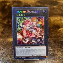 遊戯王 フレシアの蟲惑魔 1st プラチナシークレットレア psa10 遊戯王 フレシアの蟲惑魔 1st プラチナシークレットレア psa10