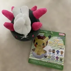 2025年最新】ナマコブシ ぬいぐるみの人気アイテム - メルカリ