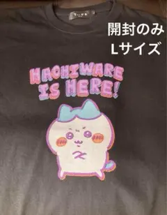 Item thumbnail for item a2912c81-74b1-47ed-ab17-0cfa7f244f4a