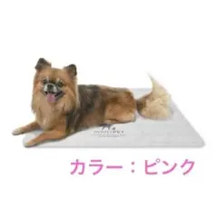 Item thumbnail for item 49e08f54-51c0-4fac-ba3a-0fded6739a8d