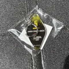 群馬クレインサンダーズ ガチャ キーホルダー