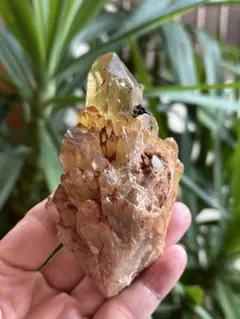 Borders@インフル中評価遅様 リクエスト 10点 まとめ商品