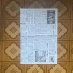 Item thumbnail for item 9a38573d-2ef6-4b72-bb77-58f68203bc1e