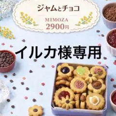 イルカ様専用でございます！