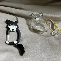 ガチャガチャ　チワワセット