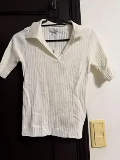 Item thumbnail for item 69ad6498-0716-4fa1-bf74-956967087451