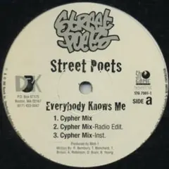 Street Poets Everybody Knows Me レコード　激レア