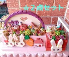 ❤️多肉植物❤️そのまま飾れる寄せ植え❤️ねこちゃんリメイク鉢