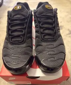 ナイキエア マックス プラス AIR MAX PLUS