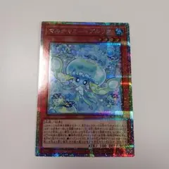 22 マルチャミープルリア プリズマ