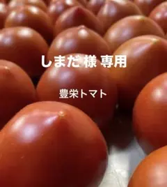 しまだ様専用 トマト 数個のサムネイル