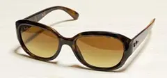 No.831    Ray-Banサングラス　RB4198    鼈甲柄