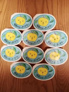 因島のはっさくゼリー　10個　送料無料　広島名産果物ゼリーのサムネイル