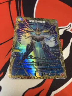 聖霊王の聖典　シークレット　シク