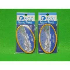 ワッペン　☆アラスカ　Portage Glacier（未使用品）×２枚