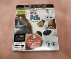 Item thumbnail for item ce206922-3bd2-4dbc-aa62-5d69a63f70d2