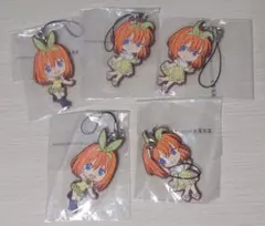 ファルケンZ プロフ必読様 リクエスト 2点 まとめ商品