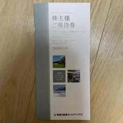 【即日発送可】東急不動産ホールディングス 株主優待 100株優待 未使用