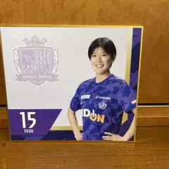 Item thumbnail for item bf79b088-6bd9-44ed-b39b-7ffbce95986b