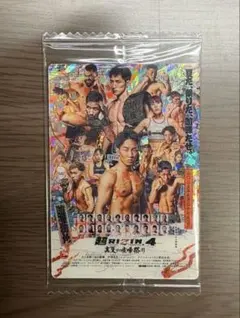 Item thumbnail for item ccf84caf-ff27-4ffc-8e4c-dfca30e648c0