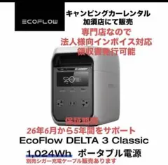 2026年最新】ecoflow deltaの人気アイテム - メルカリ