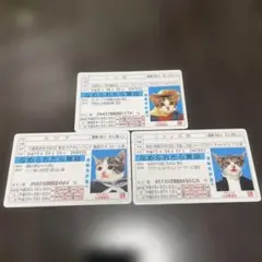 なめ猫 免許証 3枚セット おまとめ 新品未使用 カード