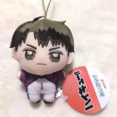 牛島若利 ぬいぷりけ mini ハイキュー!!