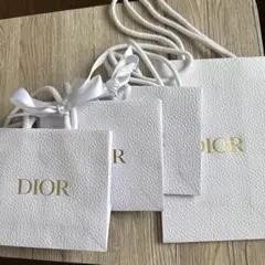 Diorショップ袋2サイズセット