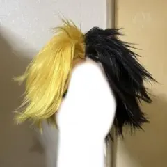 【マッシュル】レイン・エイムズ コスプレ ウィッグ