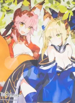 Fate EXTELLA LINK ネロ 特大 タペストリー ワダアルコ - メルカリ