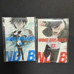 WIND BREAKER ウィンブレ展　マグネット缶　11巻　13巻　桜遙　棪堂