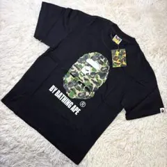 Item thumbnail for item 53c25088-3512-4ddb-b7f9-804d7475f074