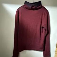 Item thumbnail for item cb13712a-ebf5-4882-916b-7afd104619b5