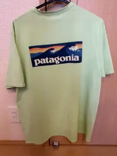 patagonia Capilene Cool Daily ライトグリーン　Ｌ