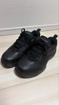 【美品・箱付】NIKE エア モナーク IV 4E 幅広 ブラック 28.5cm