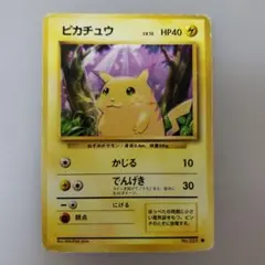 ピカチュウ トレーディングカード HP40 LV.12